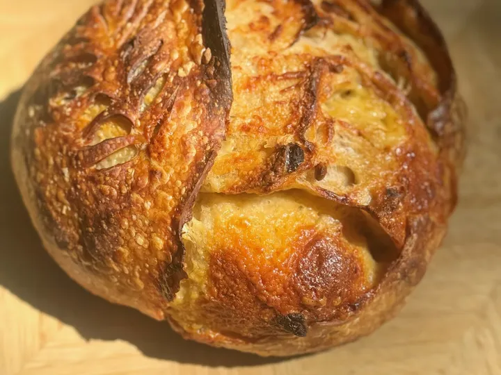Roasted garlic cheddar sourdough loaf on a wooden board in direct sunlight