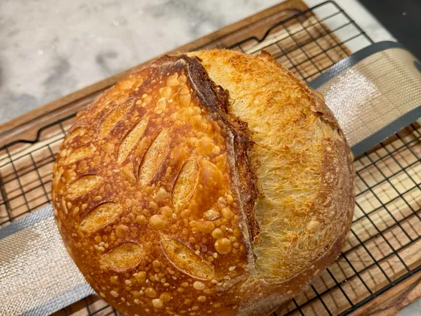 Golden sourdough loaf with decorative wheat stalk scoring